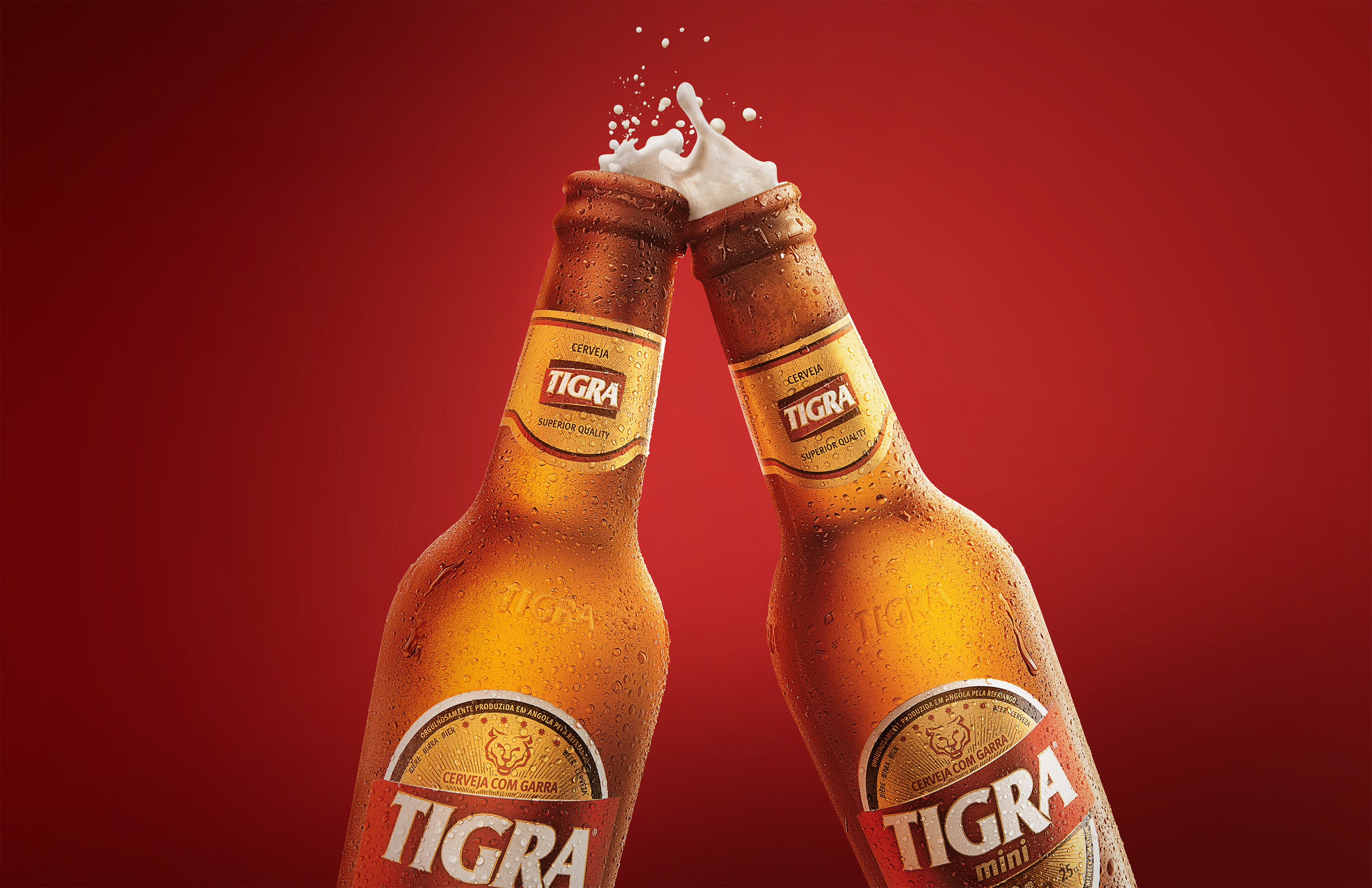 Tigra Refriango Angola Tigra Refriango Angola