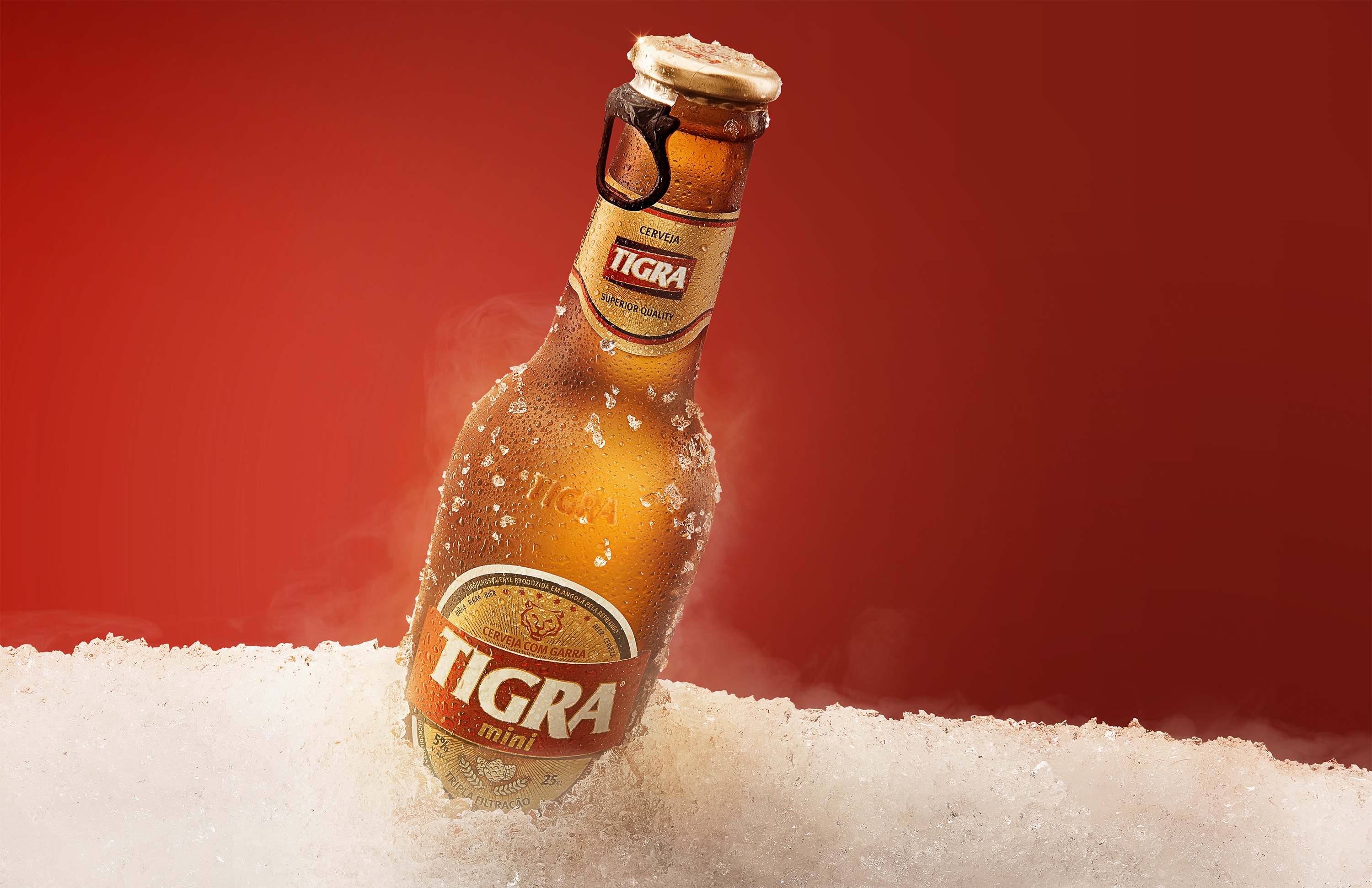 Tigra Refriango Angola Tigra Refriango Angola